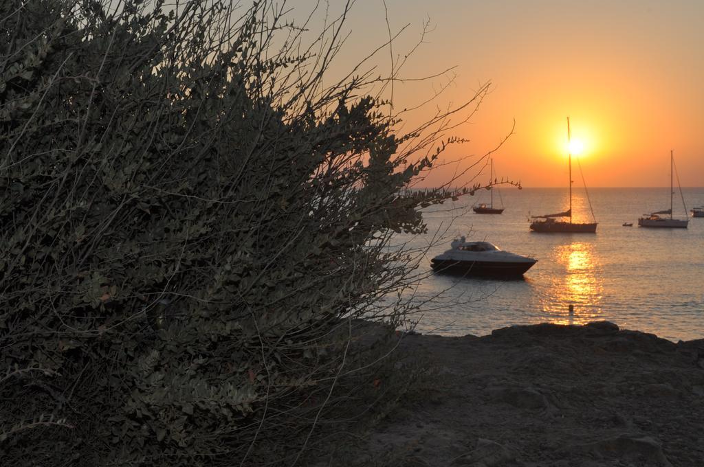 Viviendas Turisticas S'Estanyol La Savina  Εξωτερικό φωτογραφία