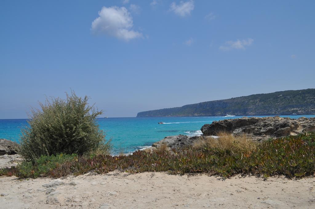 Viviendas Turisticas S'Estanyol La Savina  Εξωτερικό φωτογραφία